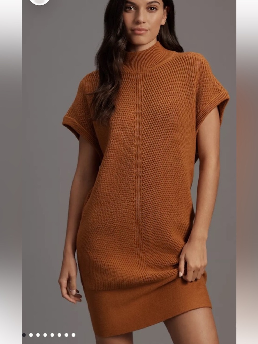 NWT Anthropologie Mock-Neck Sweater Short-Sleeve Mini Dress. Medium - Picture 9 of 9